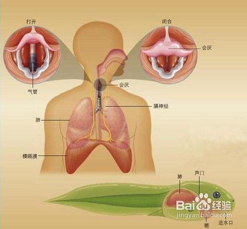 打嗝的原因及治療方法