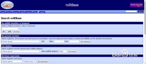 miRBase資料庫的使用