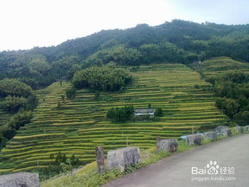 怎麼做好健康產業