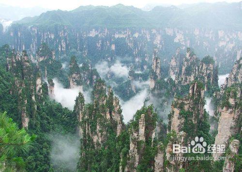 張家界/楊家界/袁家界/天門山/鳳凰古城攻略