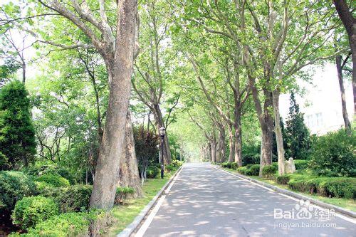 大連 海之韻公園 棒棰島