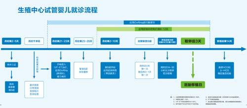 一般試管嬰兒就診流程（就醫流程）