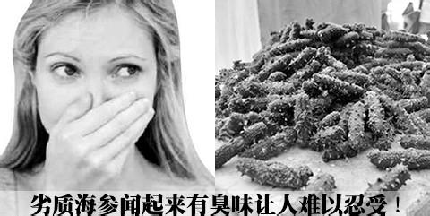 如何區分市面上常見海蔘的好壞