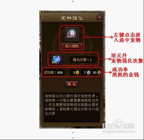 《戰online》寵物詳細攻略