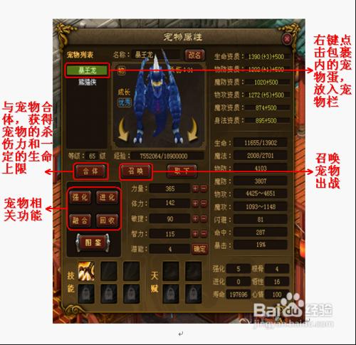 《戰online》寵物詳細攻略