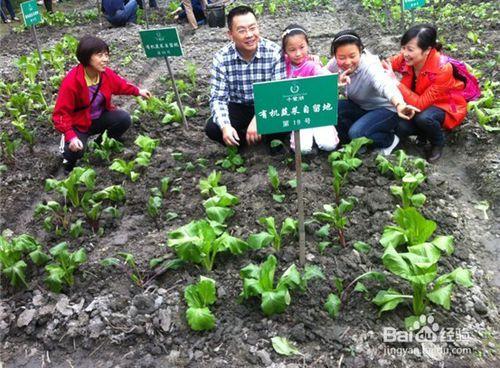 除工資外的賺錢方法