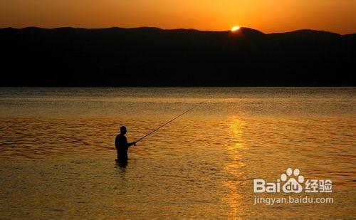 夏季用海竿在池塘釣魚技巧