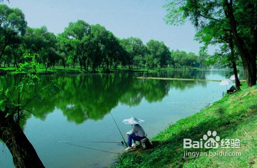 立夏天氣如何釣魚