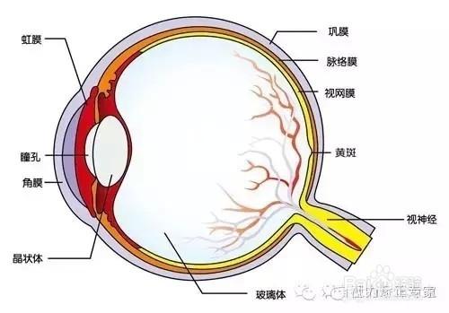 視力差不是因為看書多，是你沒做到這些。。。。