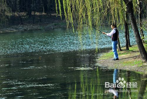 立夏天氣如何釣魚