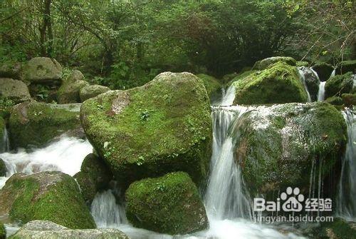 紅河谷一日遊攻略