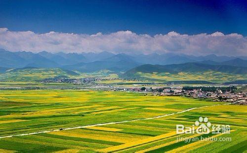 春季旅遊好去處，春季旅遊景點推薦