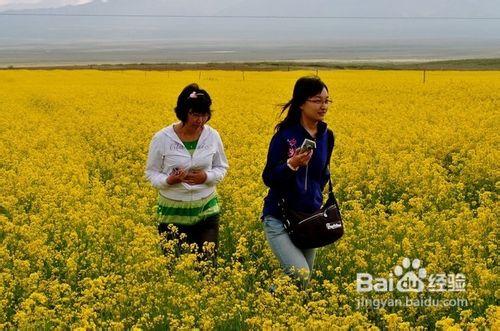 七月份去哪旅遊好_七月份旅遊攻略