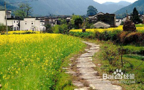 春季旅遊好去處，春季旅遊景點推薦