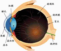 青光眼的危害