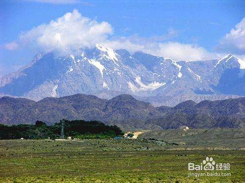 新疆旅遊攻略第五站——神木園