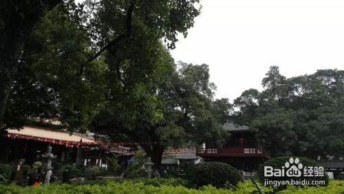 廣州一日遊——光孝寺-農講所-烈士陵園-中大