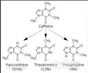 睡前不能吃的五種食物