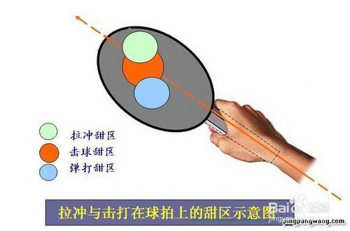 拉衝與擊打在球拍上的不同甜區位置