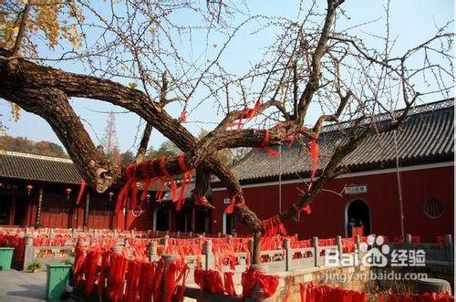 當陽玉泉寺旅遊