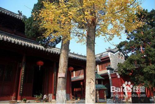 當陽玉泉寺旅遊