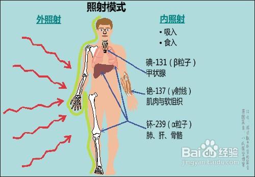 誘發骨癌的因素是什麼?