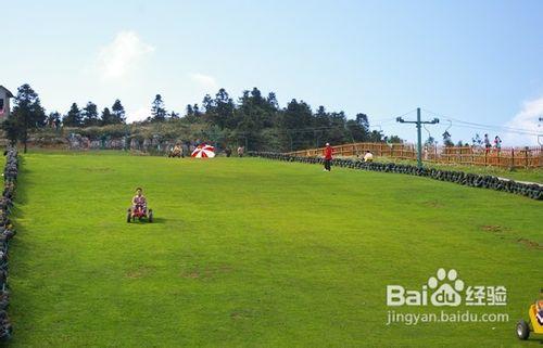 金秋重慶周邊仙女山二日遊