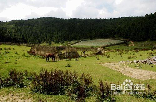 金秋重慶周邊仙女山二日遊