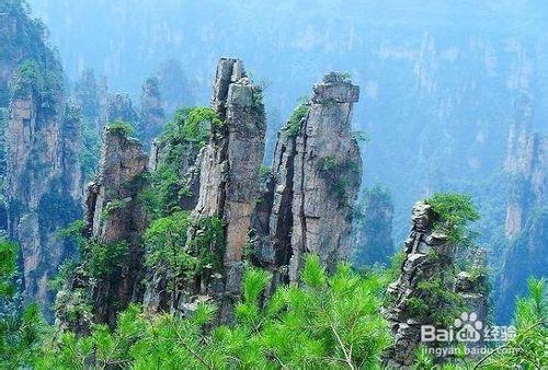 南京到張家界旅遊