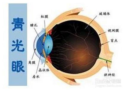 關燈後玩手機到底傷不傷眼