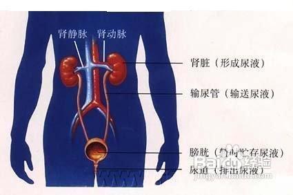 遺尿症寶寶的食療法