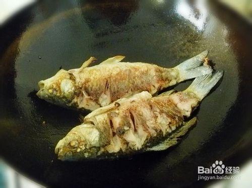 【養生湯煲】奶白濃湯---鯽魚豆腐湯