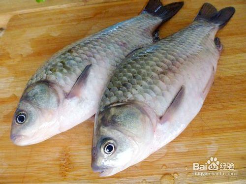 【養生湯煲】奶白濃湯---鯽魚豆腐湯