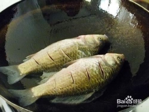 【養生湯煲】奶白濃湯---鯽魚豆腐湯