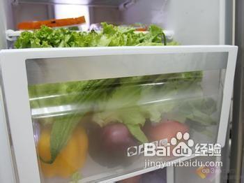 快樂活 各種食物儲存訣竅