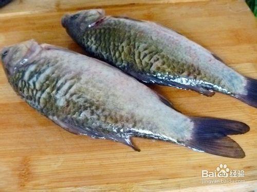 【養生湯煲】奶白濃湯---鯽魚豆腐湯