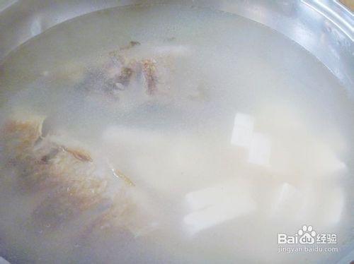 【養生湯煲】奶白濃湯---鯽魚豆腐湯