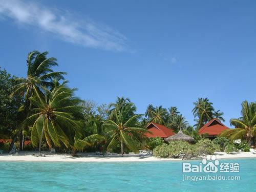 馬爾地夫椰子島Kurumba旅遊出行攻略