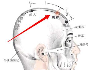 五處穴穴位位置圖及作用