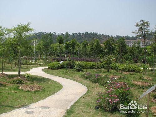 農林大學校園最佳約會地點