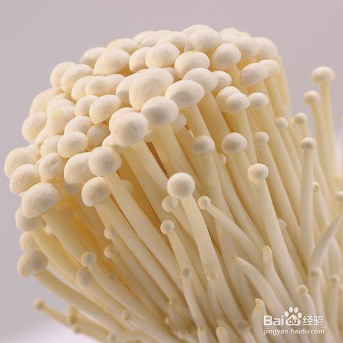 蘑菇類食物有怎樣的功效？