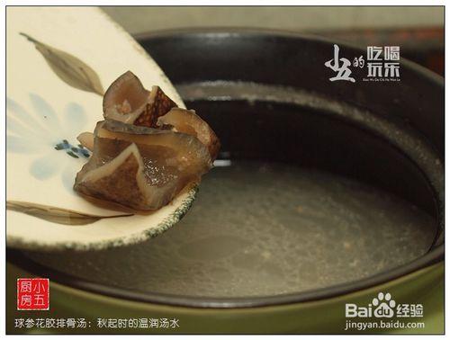 球參花膠排骨湯