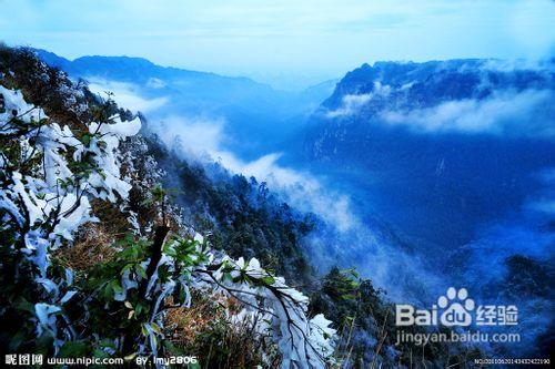 大明山旅遊攻略