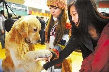 人可以和狗狗一起睡覺嗎？人和狗睡有什麼危害？