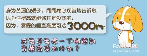 霧霾對狗狗和貓咪也有影響嗎