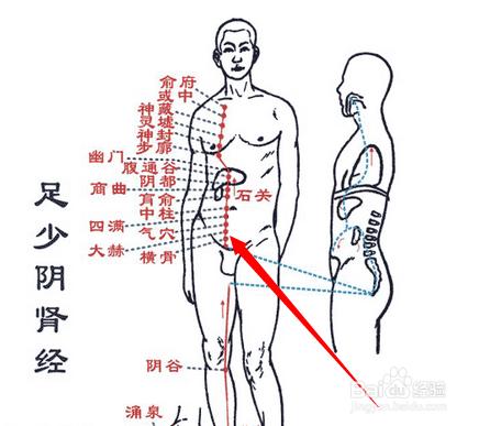 大赫穴位位置圖及作用