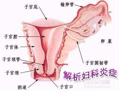 陰道炎還分類你知道嗎