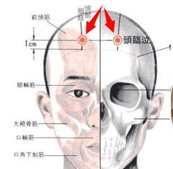 頭臨泣穴穴位位置圖及作用