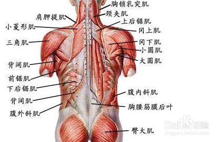 運動減肥經驗教訓