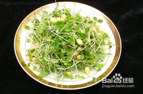 綠豆芽減肥食譜，7天快速瘦8斤